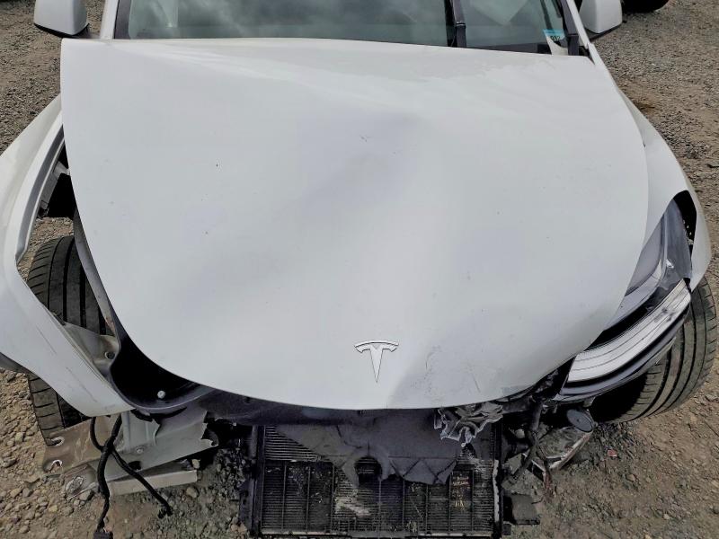 59297956 :رقم المزاد ، 5YJYGDEE9MF098009 vin ، 2021 Tesla Model  Y مزاد بيع