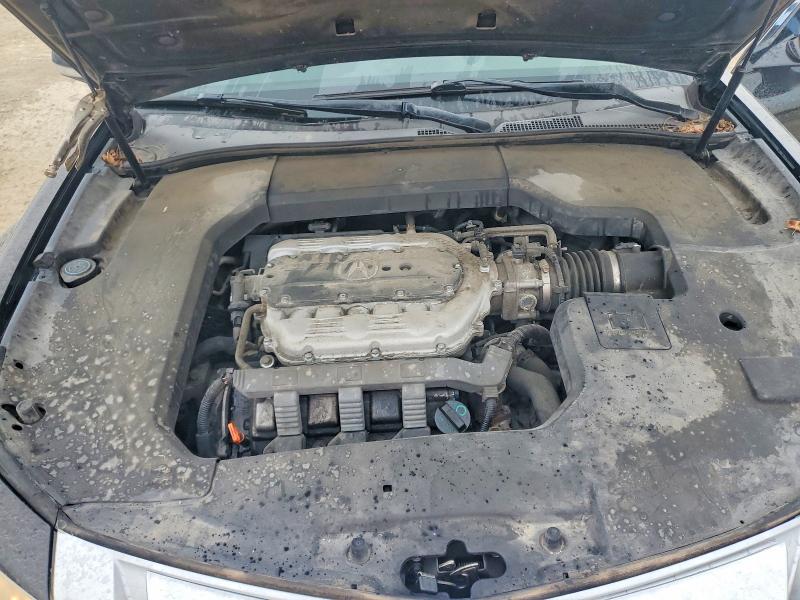 Продаж на аукціоні авто 2010 Acura Tl, vin: 19UUA9F58AA005711, номер лоту: 63031496