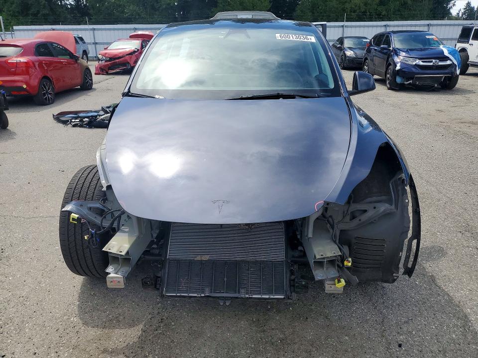 Продаж на аукціоні авто 2023 Tesla Model Y, vin: 7SAYGAEE9PF971523, номер лоту: 60013036