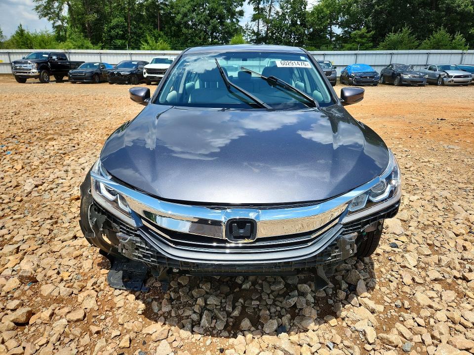 60291476 :رقم المزاد ، 1HGCR2F36HA155580 vin ، 2017 Honda Accord مزاد بيع