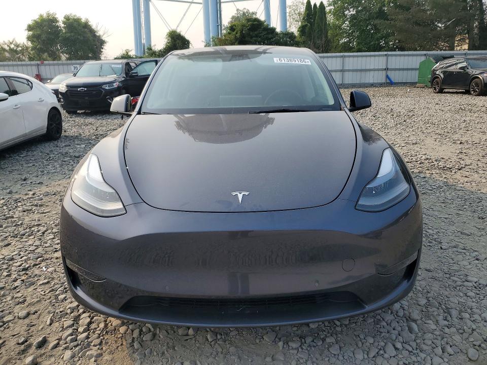 Продаж на аукціоні авто 2023 Tesla Model Y, vin: 7SAYGDEFXPF582514, номер лоту: 61389186