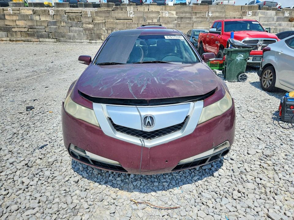Продаж на аукціоні авто 2010 Acura Tl, vin: 19UUA8F5XAA019183, номер лоту: 61617336