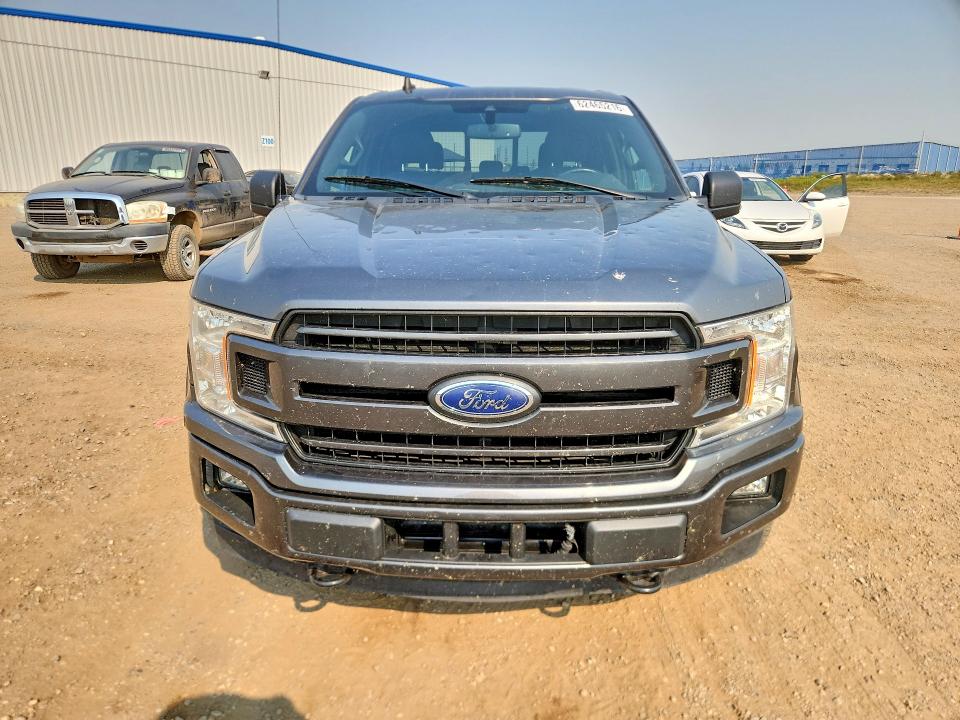 Продаж на аукціоні авто 2019 Ford F150, vin: 1FTEW1EP0KFD05000, номер лоту: 62465216