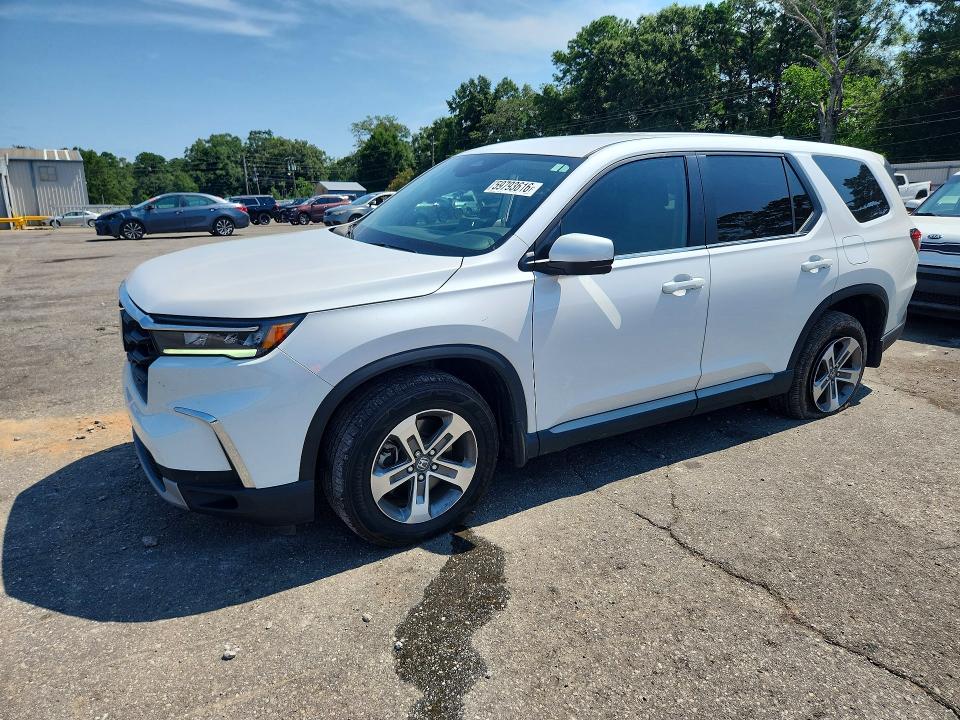 Auction sale of the 2024 Honda Pilot, vin: 5FNYG2H52RB003300, lot number: 59793616