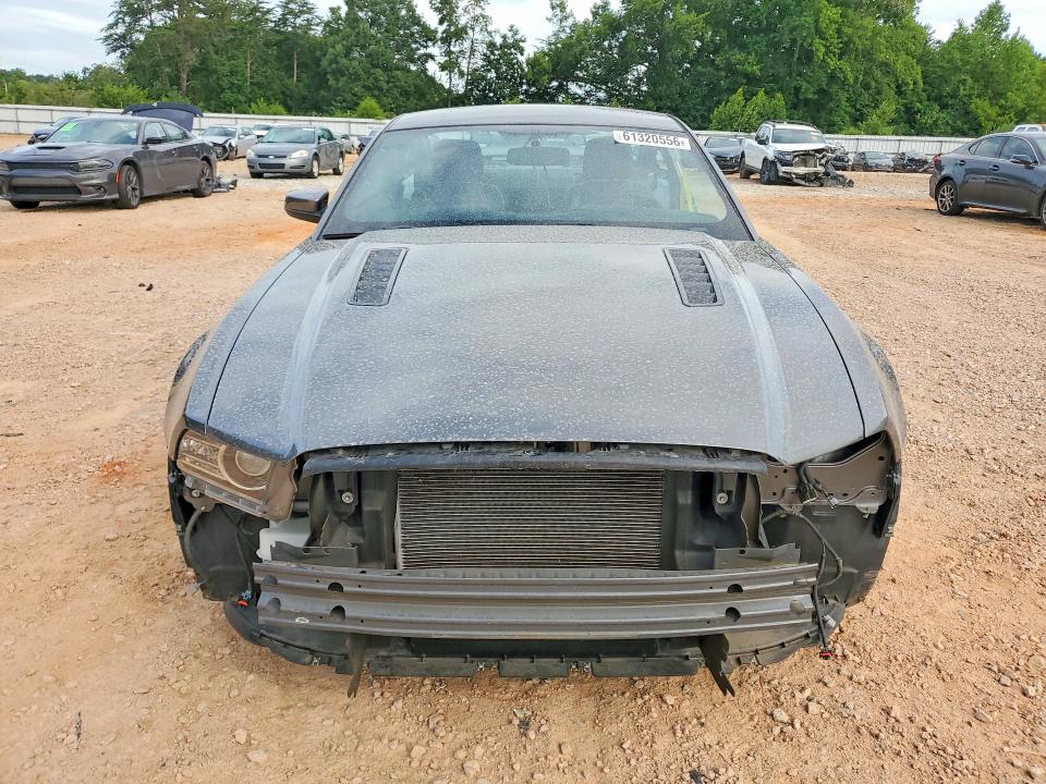 Aukcja sprzedaży 2013 Ford Mustang, vin: 1ZVBP8CF0D5235801, numer aukcji: 61320556