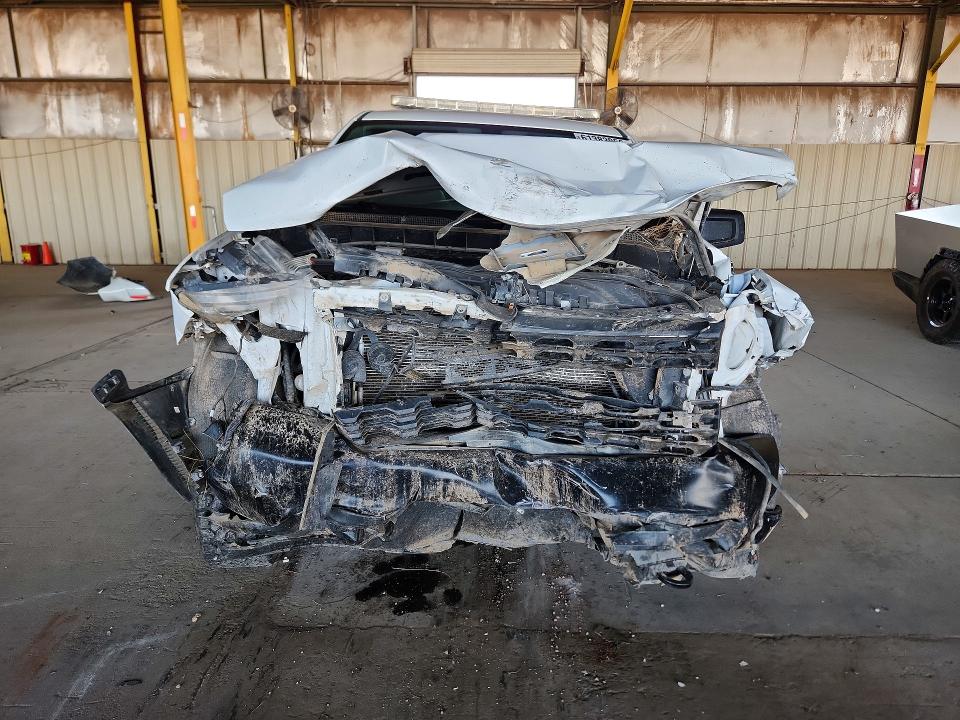 61383056 :رقم المزاد ، 1GCRYAEF4KZ179483 vin ، 2019 Chevrolet Silverado مزاد بيع