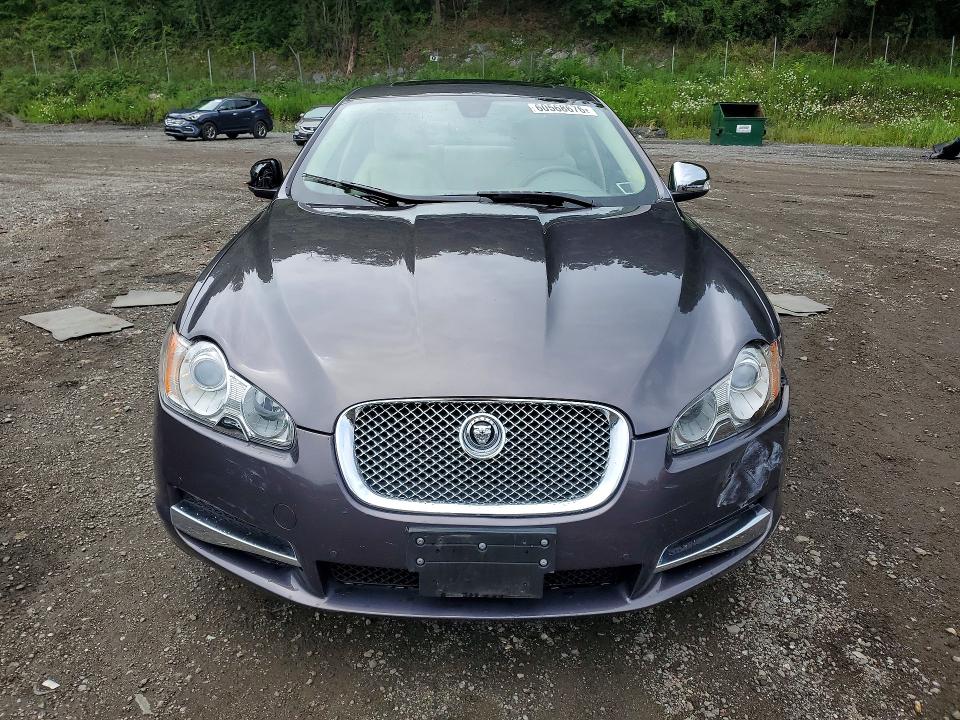 60568676 :رقم المزاد ، SAJWA06B19HR08358 vin ، 2009 Jaguar Xf مزاد بيع