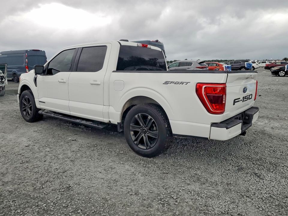 63288696 :رقم المزاد ، 1FTFW1CD1MFC92323 vin ، 2021 Ford F150 مزاد بيع