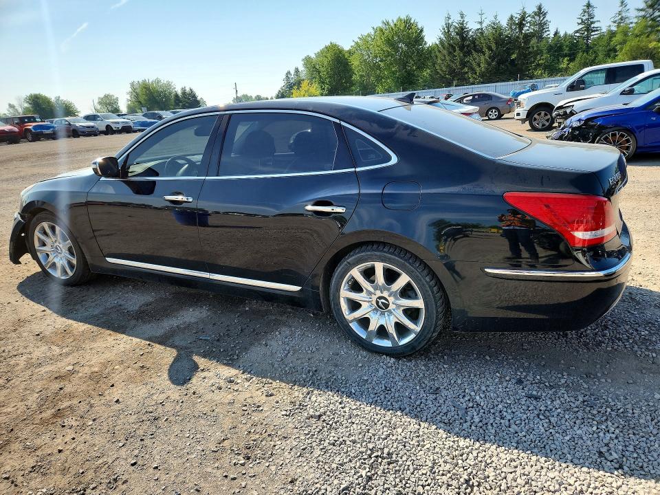 2013 Hyundai Equus მანქანა იყიდება აუქციონზე, vin: KMHGH4JHXDU062809, აუქციონის ნომერი: 60169916