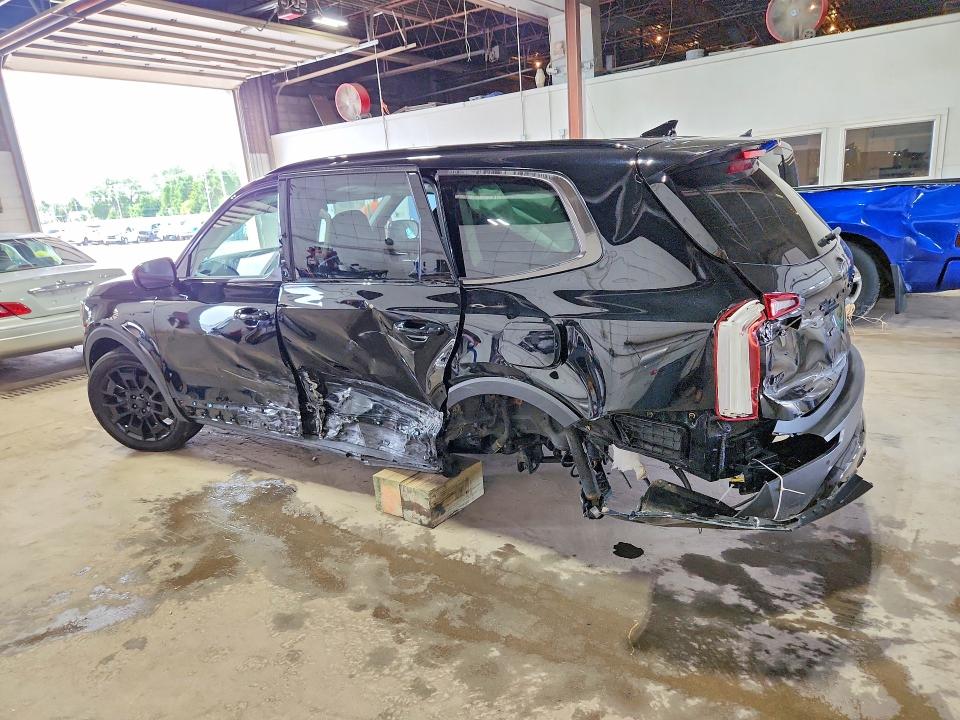 Продаж на аукціоні авто 2021 Kia Telluride, vin: 5XYP5DHC6MG187704, номер лоту: 59538136