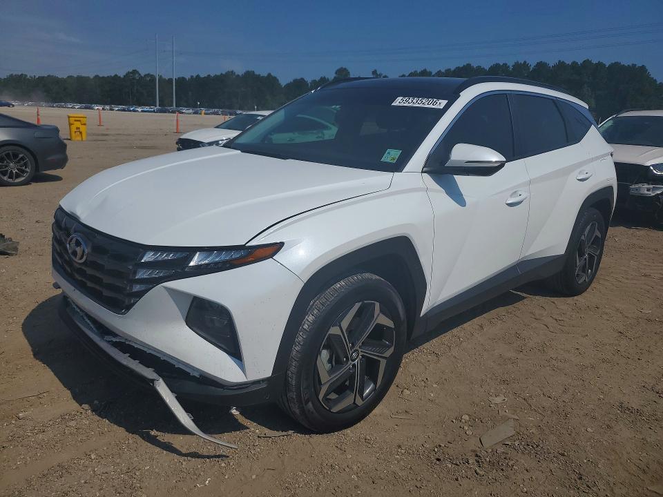 Продажа на аукционе авто 2024 Hyundai Tucson, vin: KM8JCCD1XRU206380, номер лота: 59335206