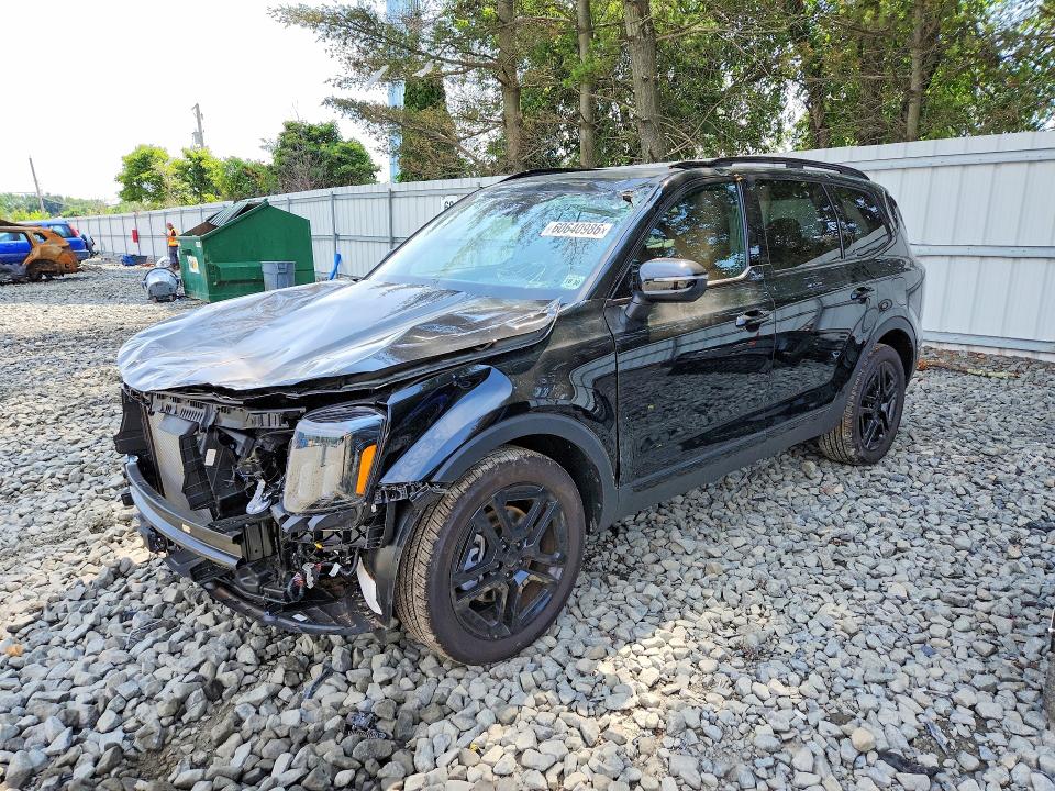 Продаж на аукціоні авто 2025 Kia Telluride, vin: 5XYP3DGC6SG693599, номер лоту: 60640986