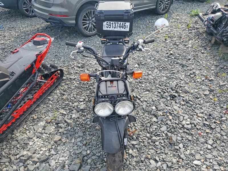 59137446 :رقم المزاد ، JH2AF5825PK900775 vin ، 2023 Honda Nps50 مزاد بيع