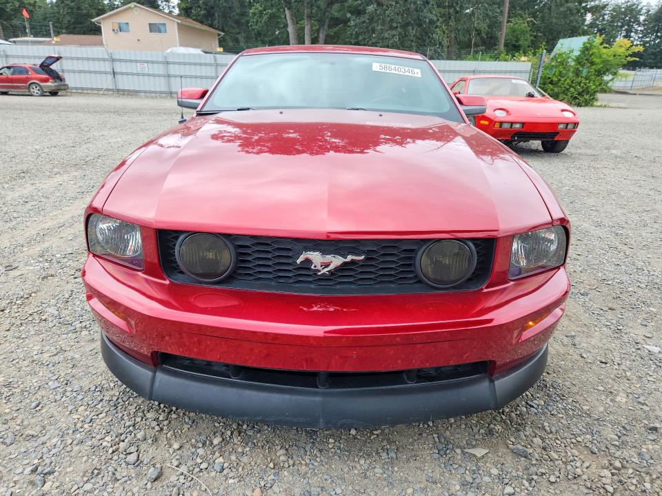 Продажа на аукционе авто 2005 Ford Mustang, vin: 1ZVFT82H255210254, номер лота: 58640346