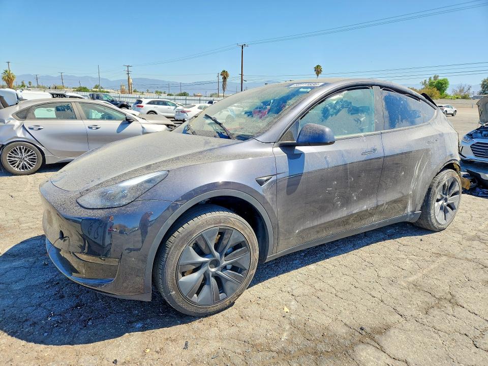 Продаж на аукціоні авто 2024 Tesla Model Y, vin: 7SAYGDED6RF117052, номер лоту: 59111836