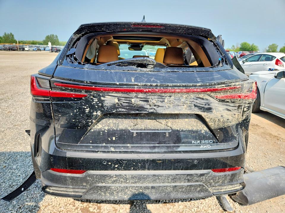 2025 Lexus Nx მანქანა იყიდება აუქციონზე, vin: 2T2GGCEZ6SC089452, აუქციონის ნომერი: 60712266