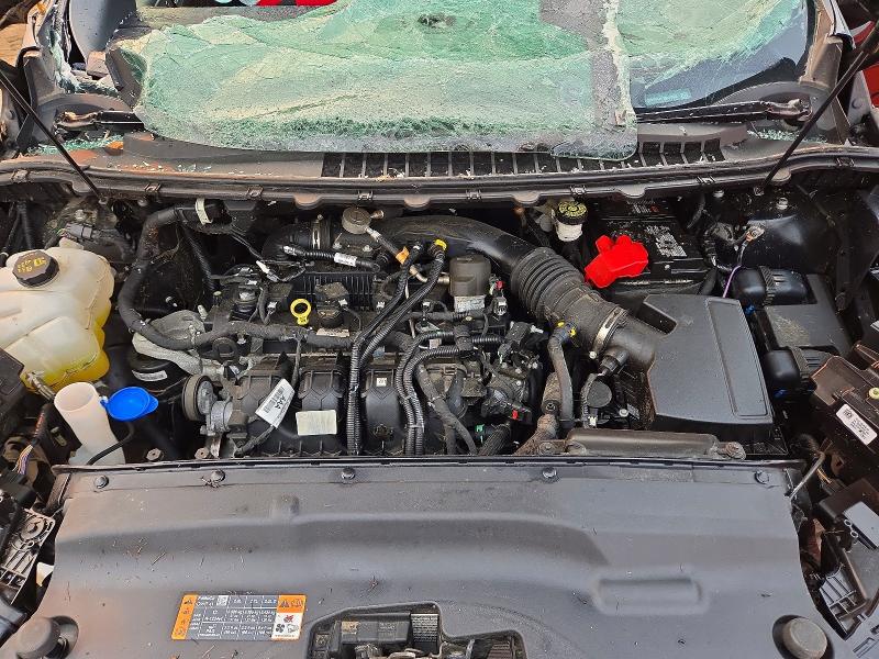 2024 Ford Edge მანქანა იყიდება აუქციონზე, vin: 2FMPK4J97RBA02932, აუქციონის ნომერი: 59060436
