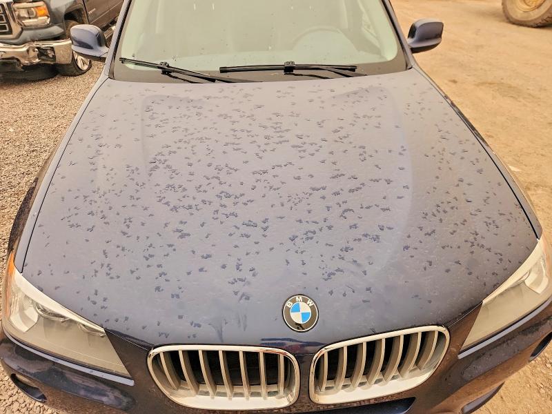 Продаж на аукціоні авто 2012 Bmw X3, vin: 5UXWX5C53CL726026, номер лоту: 60588696