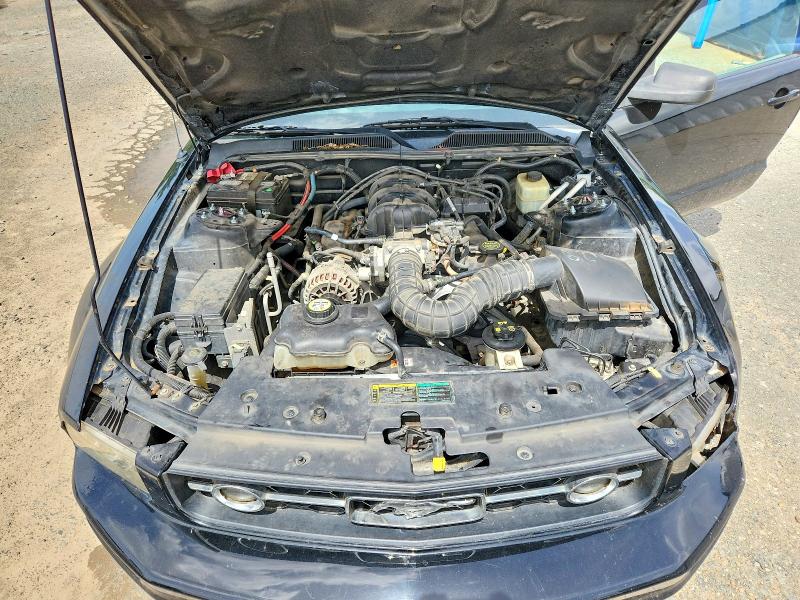 60898336 :رقم المزاد ، 1ZVHT84N165102754 vin ، 2006 Ford Mustang Convertible مزاد بيع