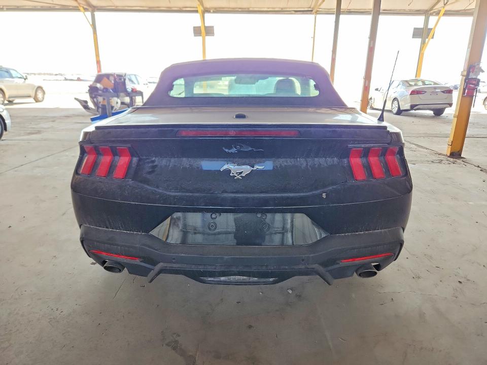 Продаж на аукціоні авто 2024 Ford Mustang, vin: 1FAGP8UH6R5120075, номер лоту: 60829696