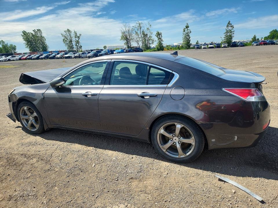 Продажа на аукционе авто 2010 Acura Tl, vin: 19UUA9F54AA801260, номер лота: 61864206