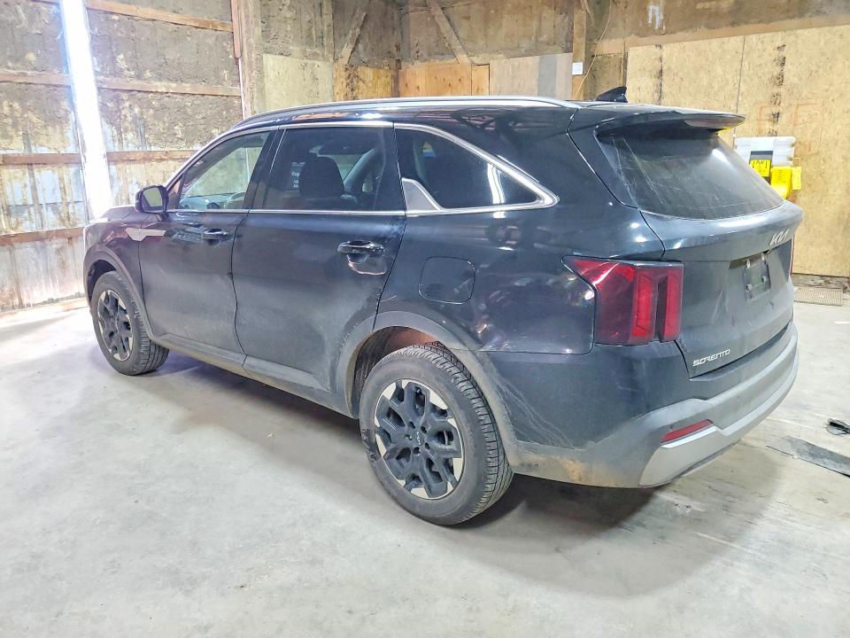 2024 Kia Sorento მანქანა იყიდება აუქციონზე, vin: 5XYRLDJC9RG288431, აუქციონის ნომერი: 60245006