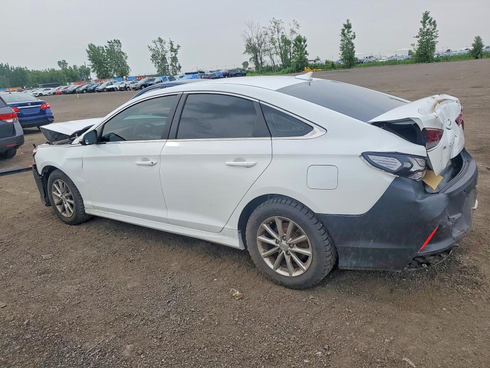 Продажа на аукционе авто 2019 Hyundai Sonata, vin: 5NPE24AF5KH802639, номер лота: 62418276