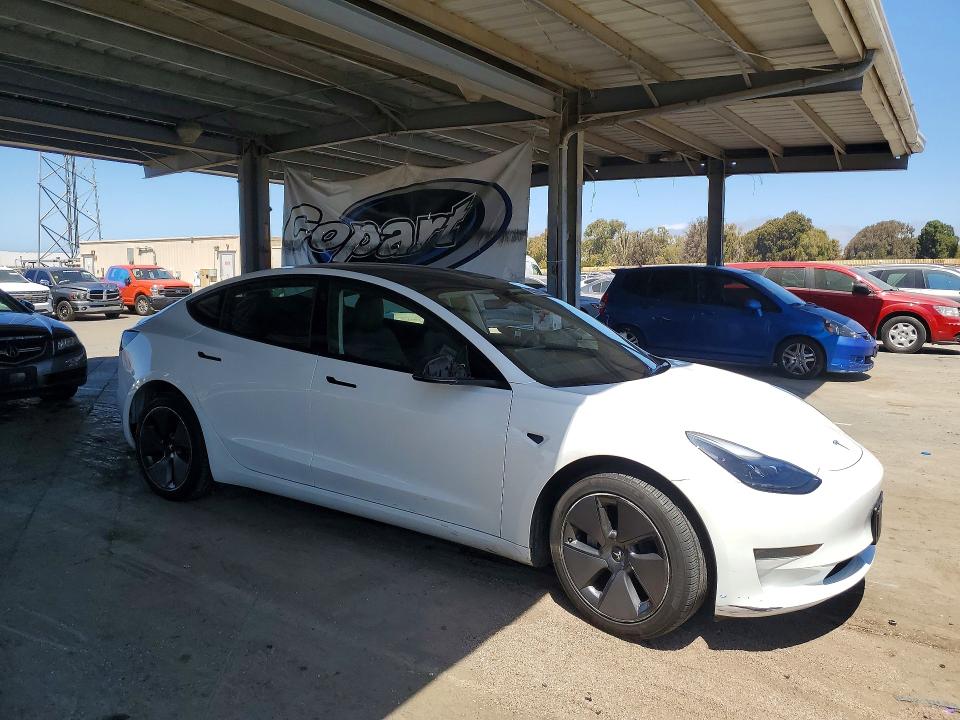 61445276 :رقم المزاد ، 5YJ3E1EA5PF580153 vin ، 2023 Tesla Model 3 مزاد بيع