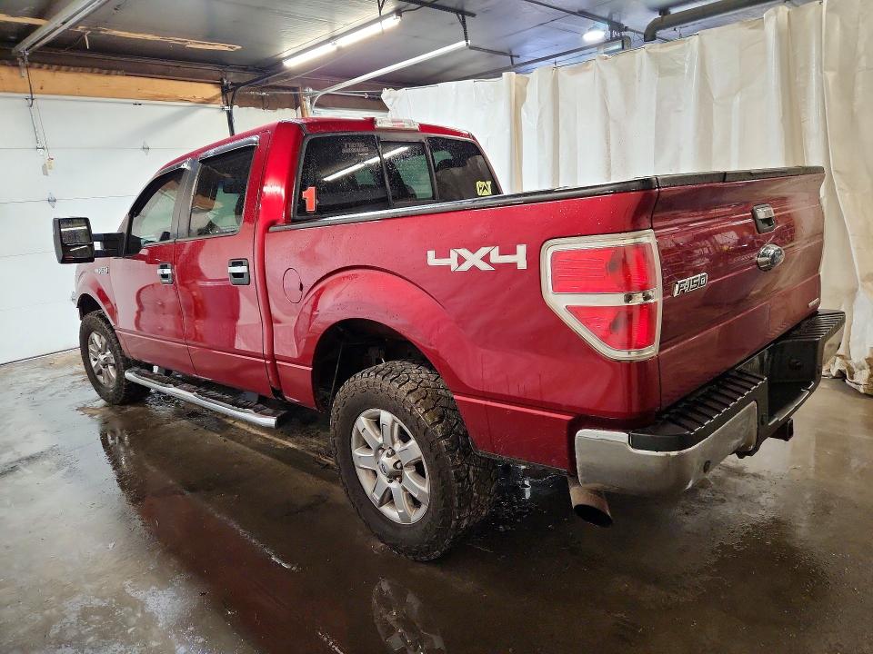 61503916 :رقم المزاد ، 1FTFW1EF0EFC64271 vin ، 2014 Ford F150 مزاد بيع