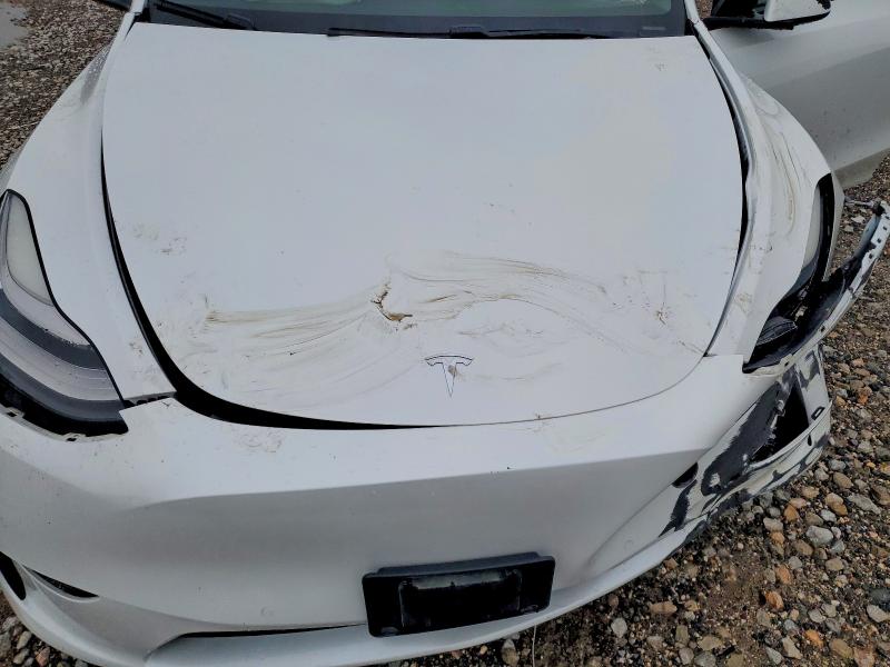 Aukcja sprzedaży 2021 Tesla Model Y, vin: 5YJYGDEE6MF069454, numer aukcji: 61083896