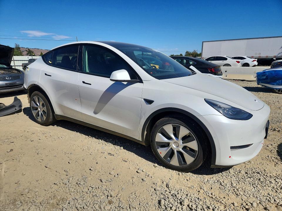 61926176 :رقم المزاد ، 5YJYGDEE1MF086050 vin ، 2021 Tesla Model Y مزاد بيع
