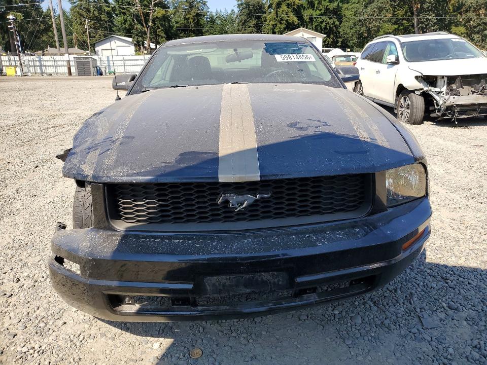 Auction sale of the 2005 Ford Mustang, vin: 1ZVFT80N855188916, lot number: 59814656