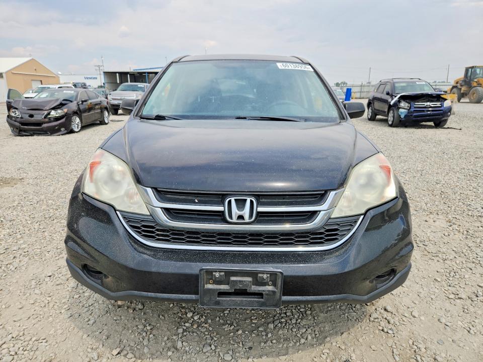 Auction sale of the 2011 Honda Cr-v, vin: 5J6RE4H53BL092930, lot number: 60138956