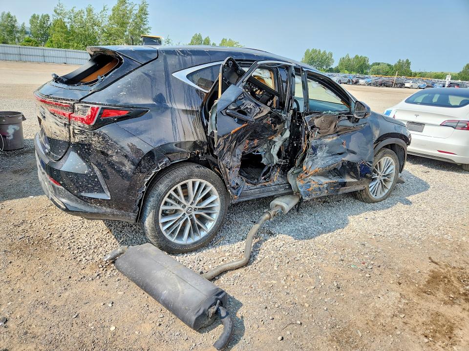 2025 Lexus Nx მანქანა იყიდება აუქციონზე, vin: 2T2GGCEZ6SC089452, აუქციონის ნომერი: 60712266