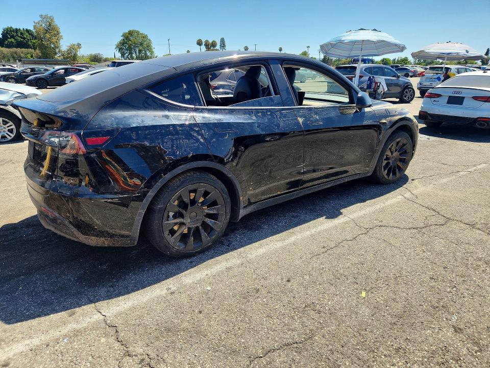 Aukcja sprzedaży 2024 Tesla Model Y, vin: 7SAYGAEE7RF983401, numer aukcji: 61809946
