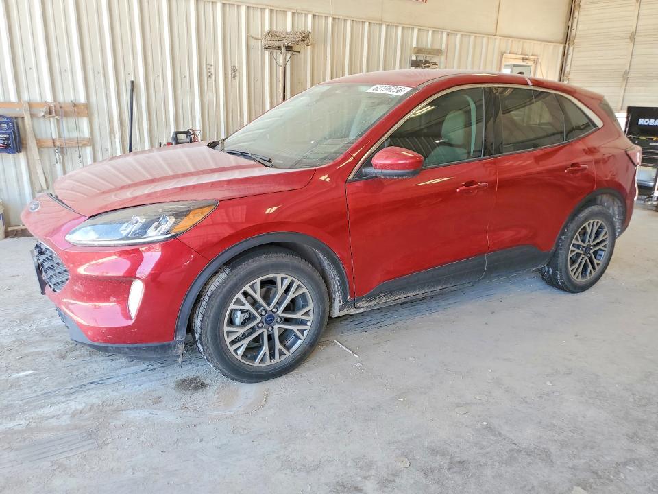 2022 Ford Escape მანქანა იყიდება აუქციონზე, vin: 1FMCU0CZ1NUA86135, აუქციონის ნომერი: 62196256