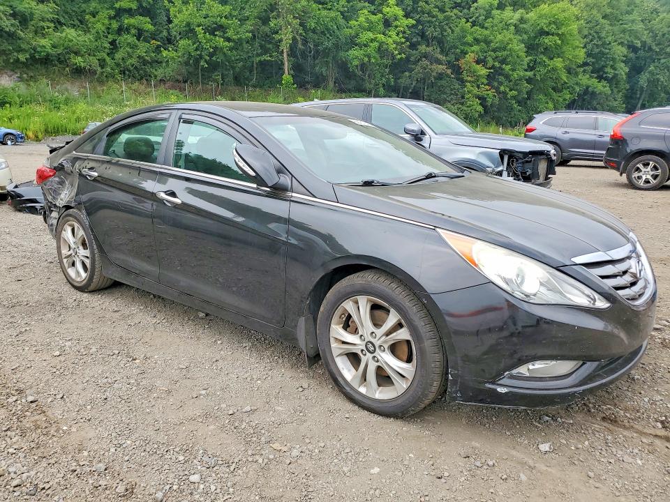 Продаж на аукціоні авто 2011 Hyundai Sonata, vin: 5NPEC4AC8BH119613, номер лоту: 62781316