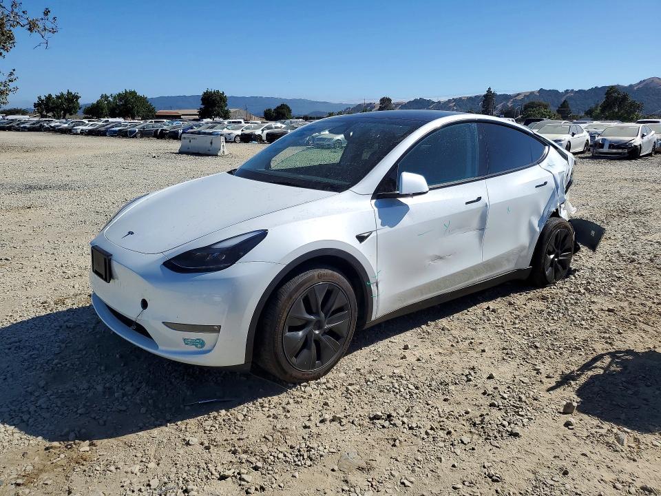 Продажа на аукционе авто 2024 Tesla Model Y, vin: 7SAYGAEE6RF206692, номер лота: 59860246
