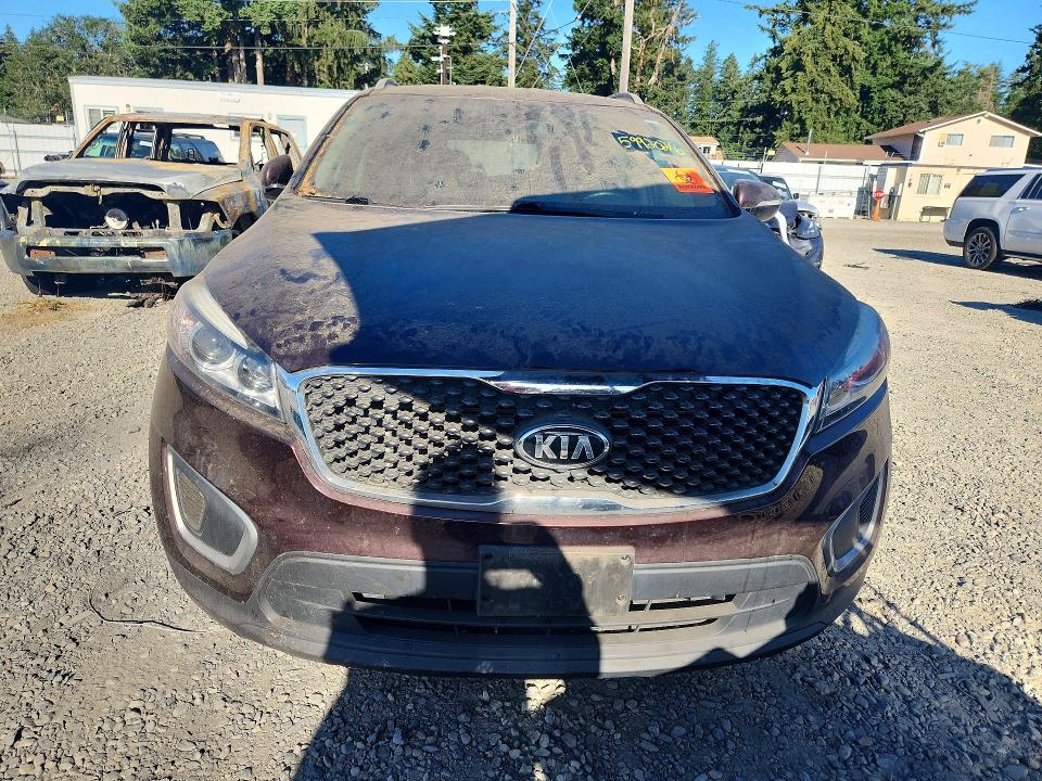 Aukcja sprzedaży 2016 Kia Sorento, vin: 5XYPG4A34GG012148, numer aukcji: 59920216