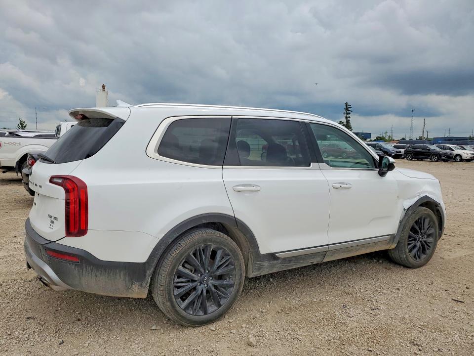 Aukcja sprzedaży 2020 Kia Telluride, vin: 5XYP5DHC3LG057233, numer aukcji: 60390616