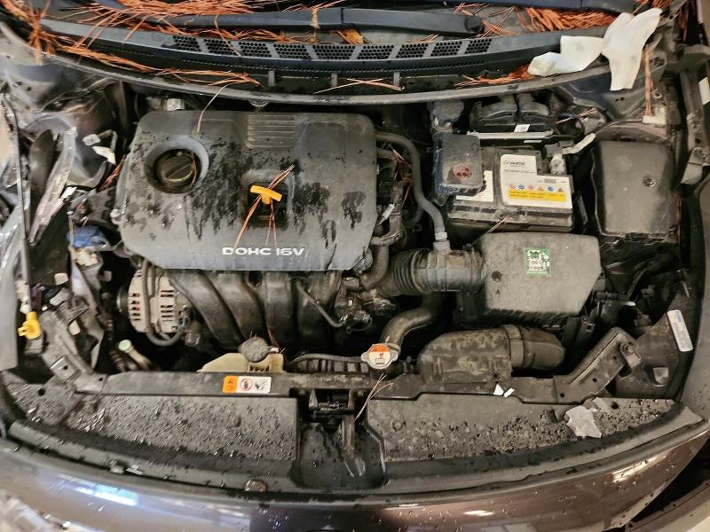 60053876 :رقم المزاد ، 3KPFL4A71JE164628 vin ، 2018 Kia Forte مزاد بيع