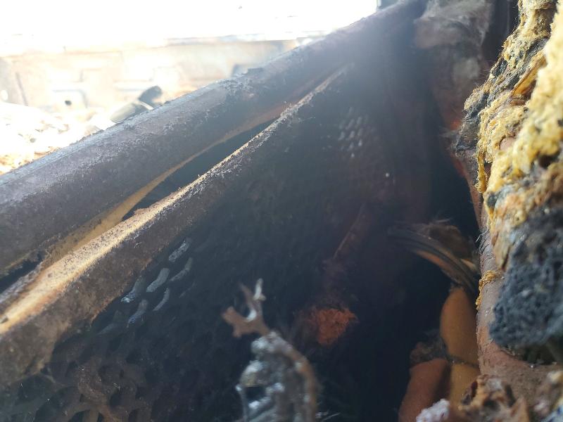 59701246 :رقم المزاد ، 3GTNHAEK3TG224054 vin ، 2026 Gmc Sierra مزاد بيع