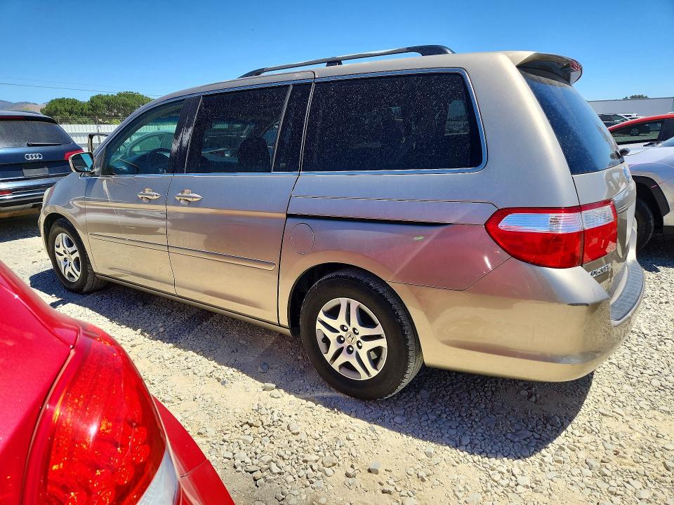 62239466 :رقم المزاد ، 5FNRL386X6B454162 vin ، 2006 Honda Odyssey مزاد بيع