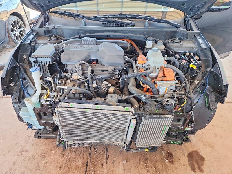 Aukcja sprzedaży 2023 Kia Sportage, vin: KNDPYDAH9P7027301, numer aukcji: 59389366
