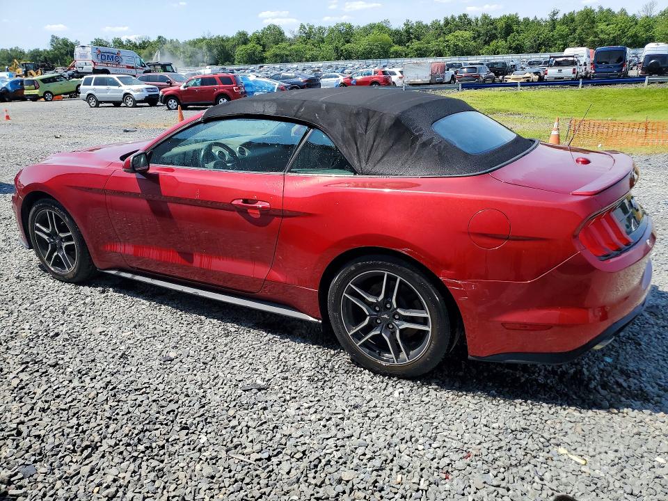 62043446 :رقم المزاد ، 1FATP8UH3K5116263 vin ، 2019 Ford Mustang مزاد بيع