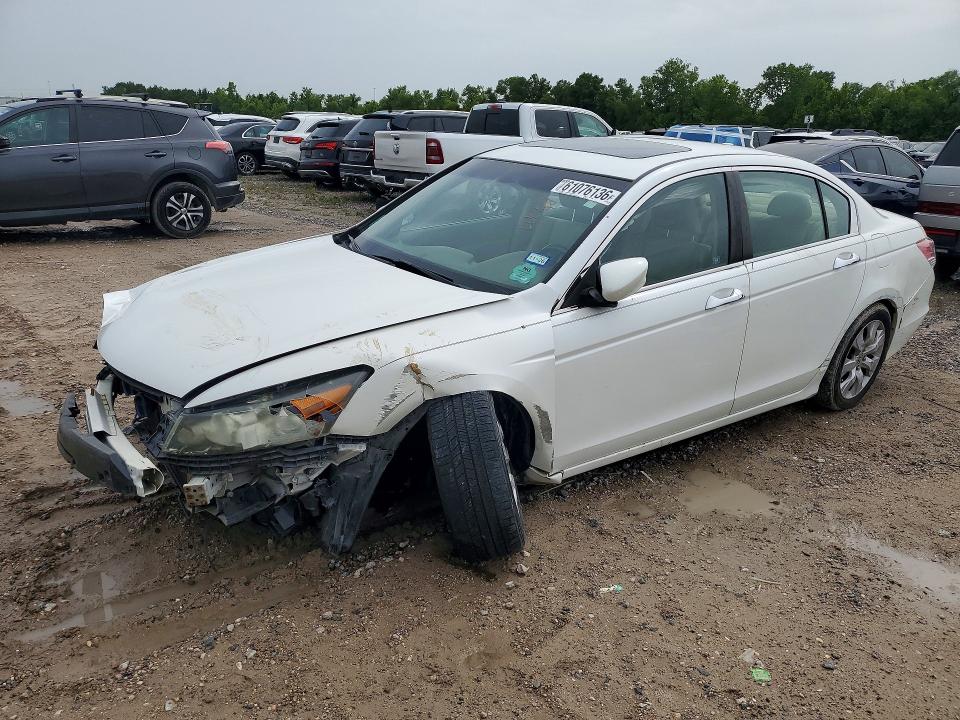 61076136 :رقم المزاد ، 5KBCP3F85AB013662 vin ، 2010 Honda Accord مزاد بيع