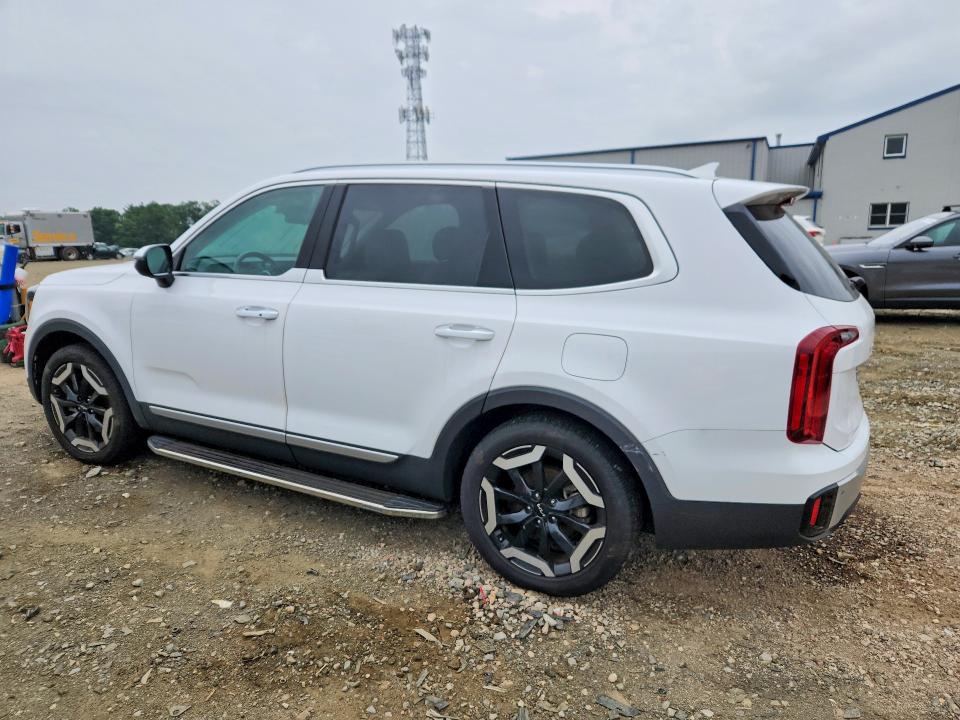 Продаж на аукціоні авто 2024 Kia Telluride, vin: 5XYP6DGC1RG483476, номер лоту: 61366656