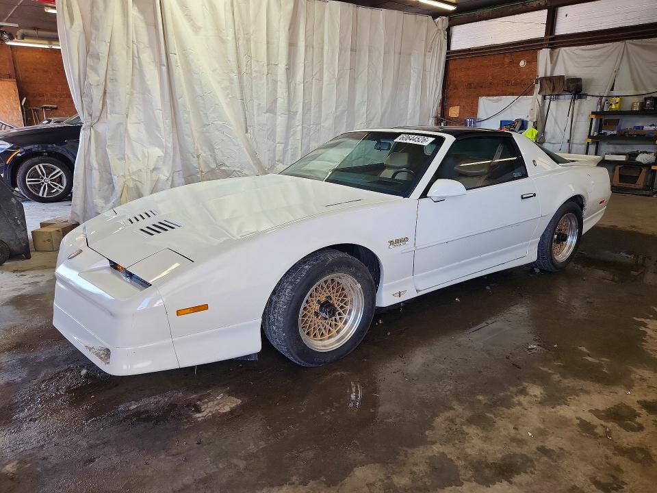 Продаж на аукціоні авто 1989 Pontiac Firebird, vin: 1G5FW2176KL243126, номер лоту: 60644526