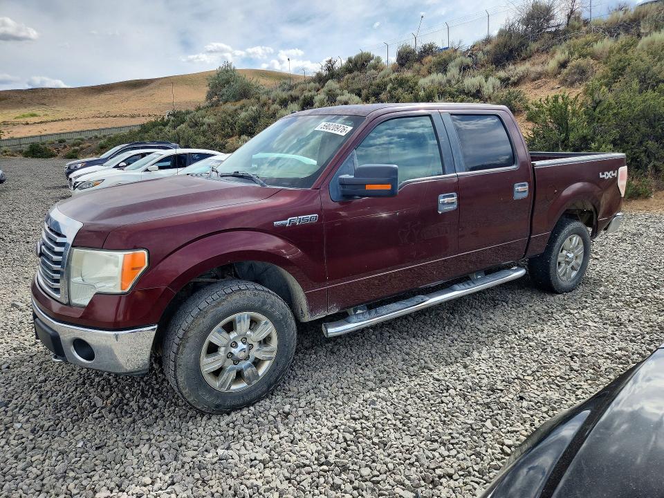 59020976 :رقم المزاد ، 1FTFW1EV5AKC19867 vin ، 2010 Ford F150 مزاد بيع