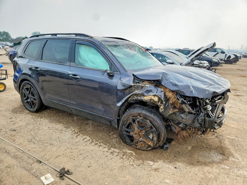 Продаж на аукціоні авто 2025 Kia Telluride, vin: 5XYP5DGC1SG658527, номер лоту: 59348826